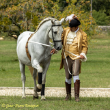Spectacle_Equestre_du_23_Août_2020-7776